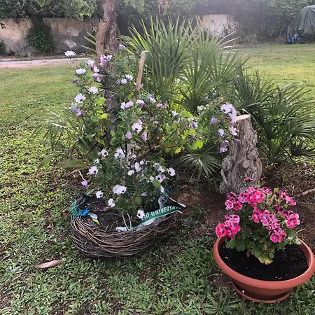 La Lantana Nuova 3*