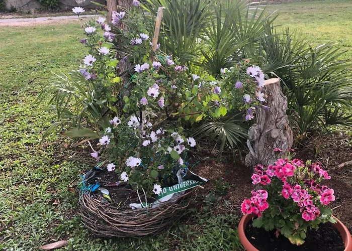 La Lantana Nuova 3*